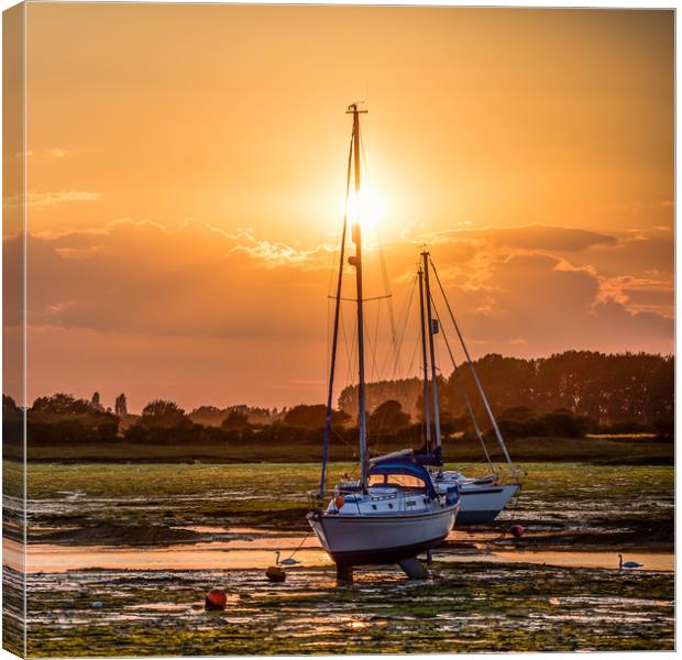 Two Moored Yachts  Canvas Print by Colin Stock