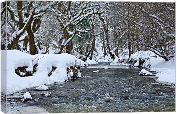 The Winter Stream - Congburn, Durham Canvas Print by David Lewins (LRPS)