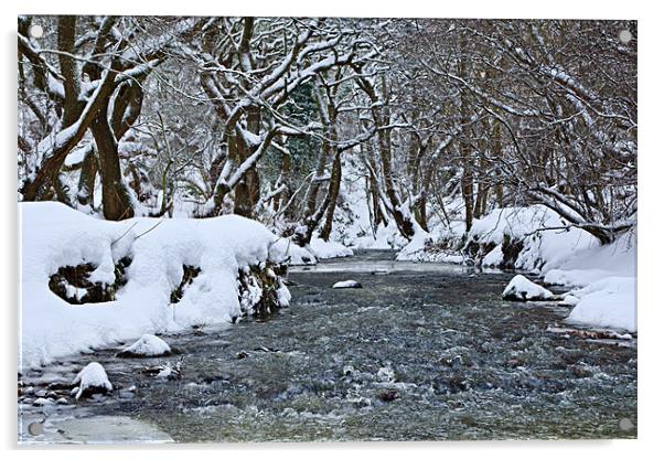 The Winter Stream - Congburn, Durham Acrylic by David Lewins (LRPS)