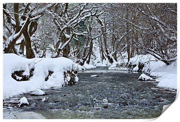The Winter Stream - Congburn, Durham Print by David Lewins (LRPS)