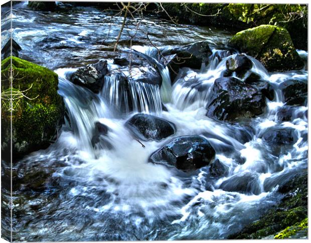Rushing Water Canvas Print by peter tachauer