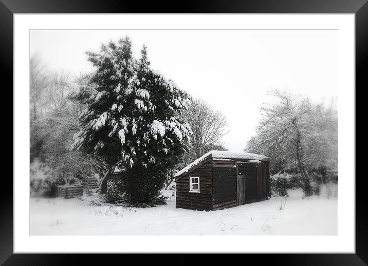 Garden Shed Framed Mounted Print by Karen Martin