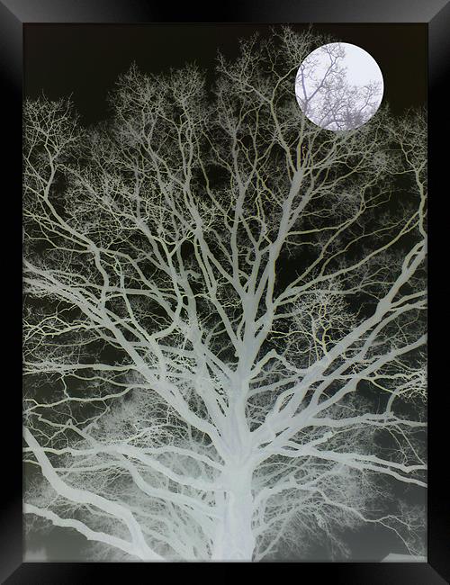 mist and moonlight Framed Print by Heather Newton