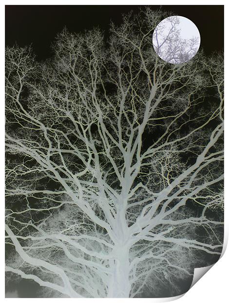 mist and moonlight Print by Heather Newton