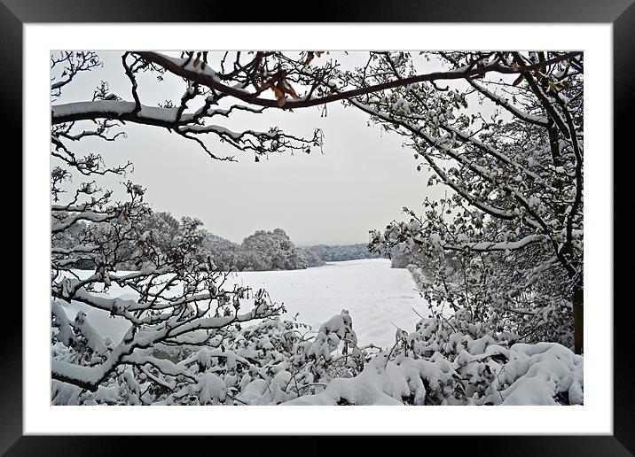 Snow Scene Framed Mounted Print by Donna Collett