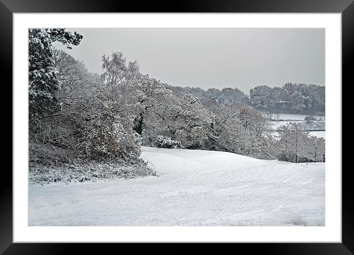 Rosebowl Golf Course in Winter Framed Mounted Print by Donna Collett