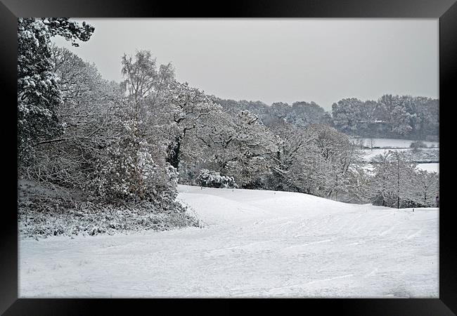 Rosebowl Golf Course in Winter Framed Print by Donna Collett
