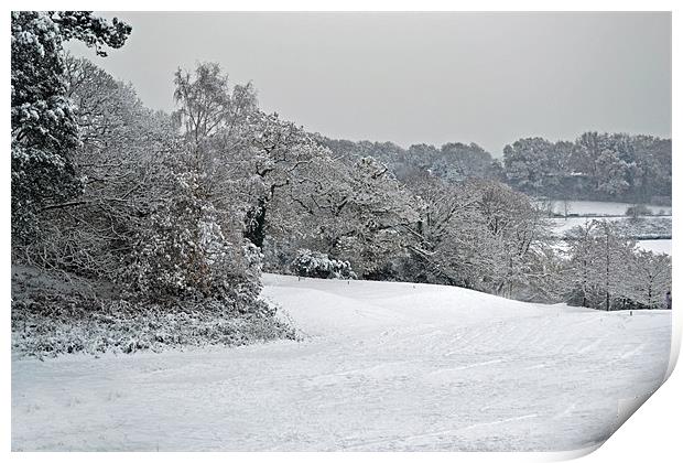 Rosebowl Golf Course in Winter Print by Donna Collett