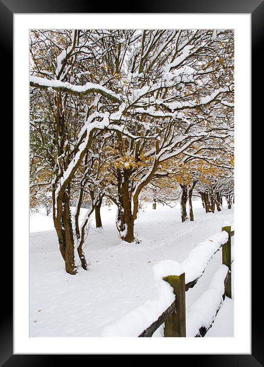 Snowey Branches Framed Mounted Print by Eddie Howland