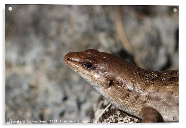 Telfair`s skink (Leiolopisma telfairii) on Ile Aux Acrylic by Carmen Green