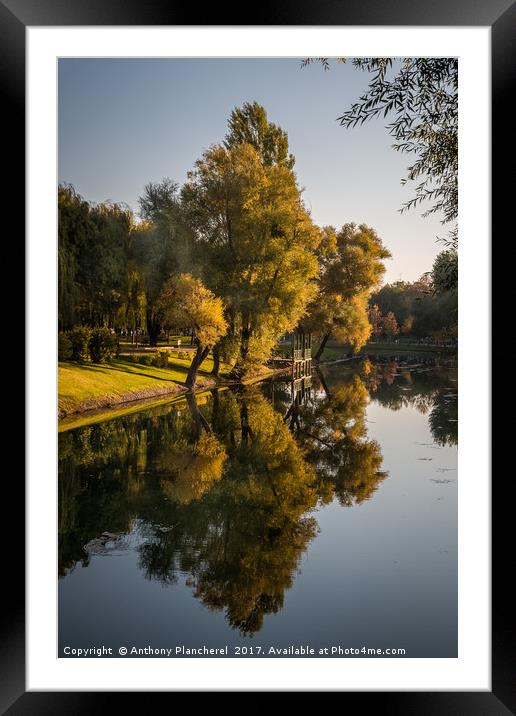 Autumn's Mirror Framed Mounted Print by Anthony Plancherel