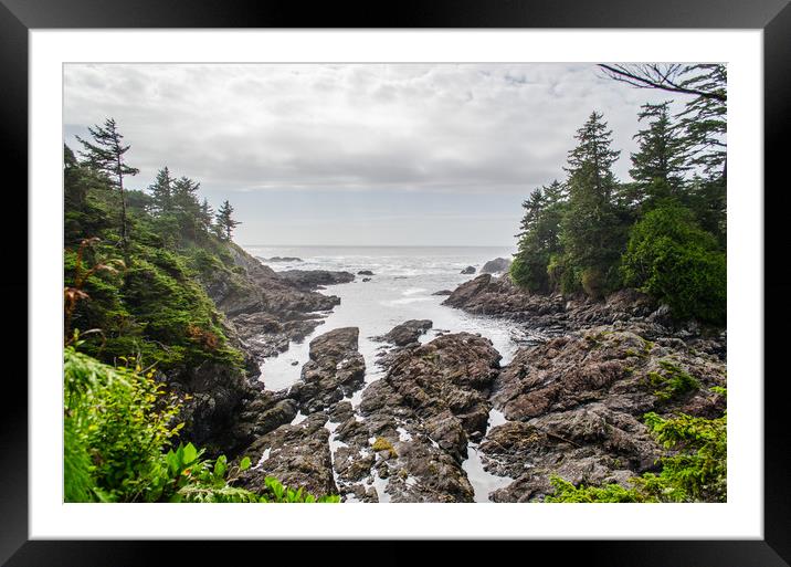 Wild Pacific Framed Mounted Print by Alf Damp