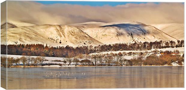 Snow Over The Ochil Hills, Scotland. Canvas Print by Aj’s Images