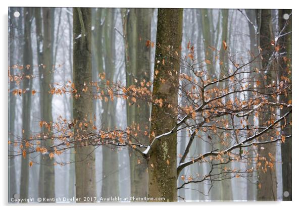Misty Snowy Beeches Acrylic by Kentish Dweller