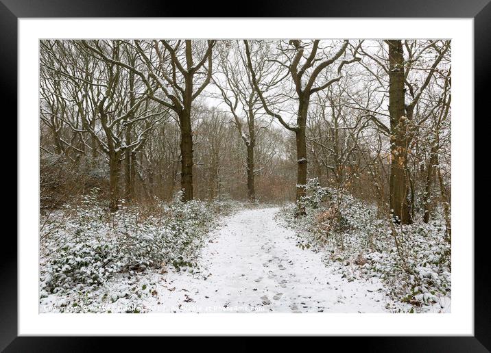 Snow in The Blean Framed Mounted Print by Kentish Dweller