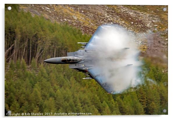 F-15E Strike Eagle Acrylic by Bob Sharples
