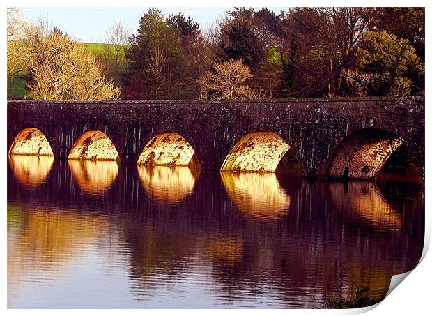 Natural Light Bridge.Pembrokeshire. Print by paulette hurley