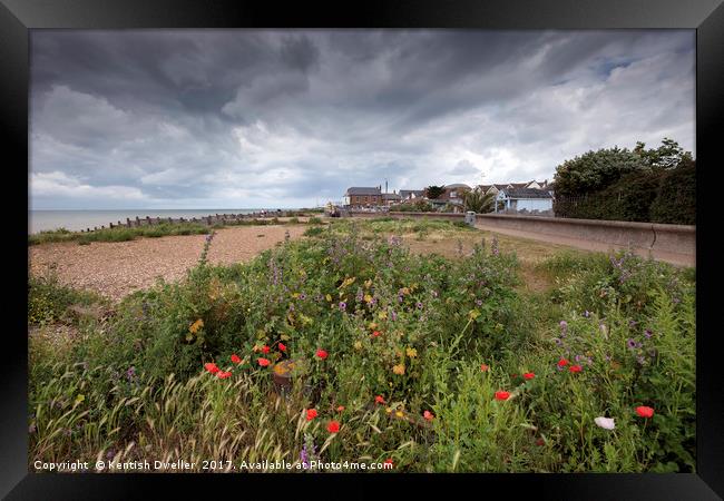 Wild Flowers on West Beach, Whitstable Framed Print by Kentish Dweller