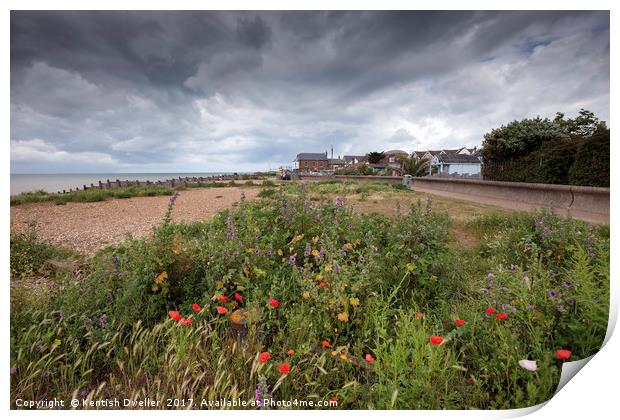Wild Flowers on West Beach, Whitstable Print by Kentish Dweller