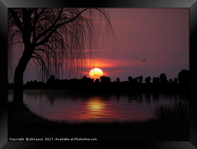 The Willow Tree Framed Print by phil pace