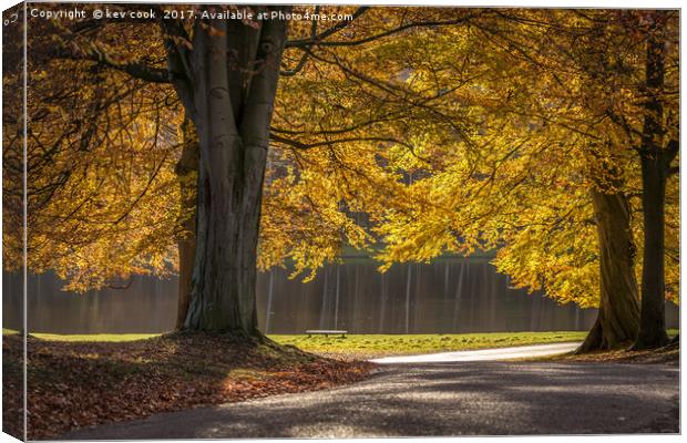 Golden light Canvas Print by kevin cook