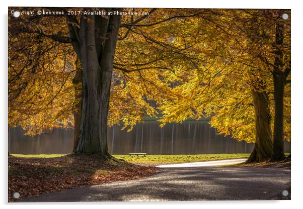 Golden light Acrylic by kevin cook