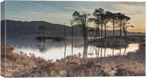 Refelctions at Loch Assynt Canvas Print by Peter Scott