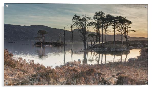 Refelctions at Loch Assynt Acrylic by Peter Scott