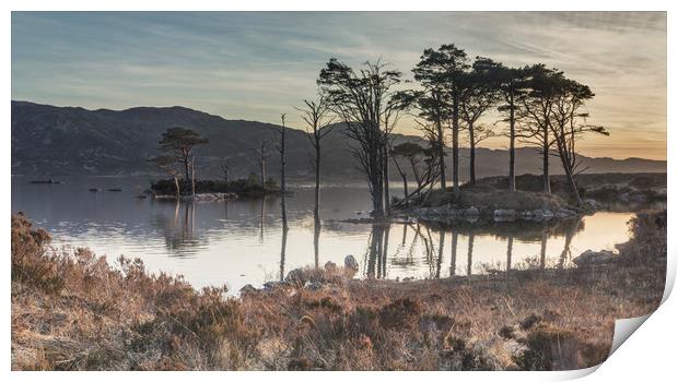 Refelctions at Loch Assynt Print by Peter Scott