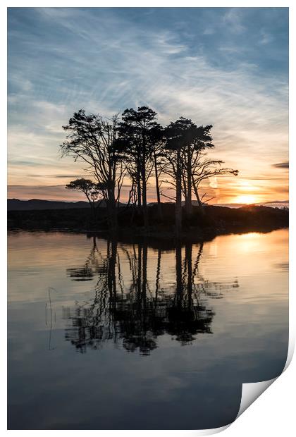 Sunset trees at Loch Assynt Print by Peter Scott