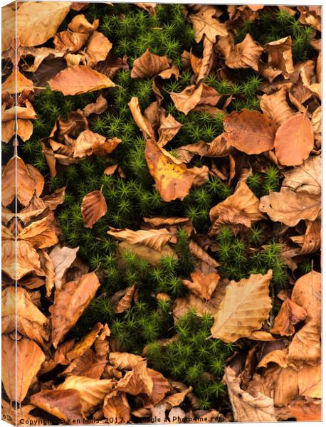 Autumn Leaves in Wentwood Forest  Canvas Print by Ken Mills