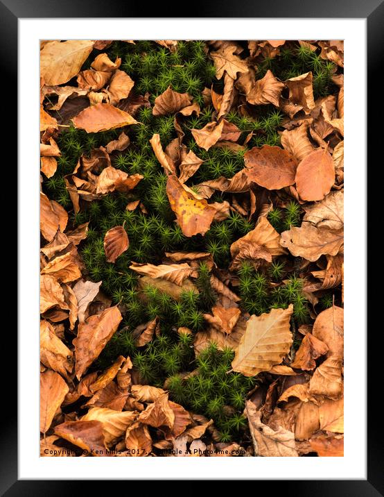 Autumn Leaves in Wentwood Forest  Framed Mounted Print by Ken Mills