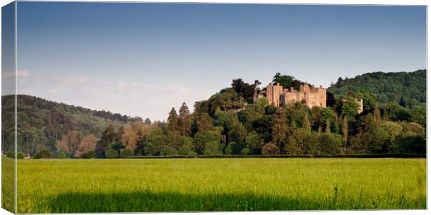 Dunster Castle Canvas Print by Bob Small
