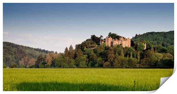 Dunster Castle Print by Bob Small