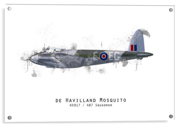 Mosquito Sketch - HX917 Acrylic by J Biggadike