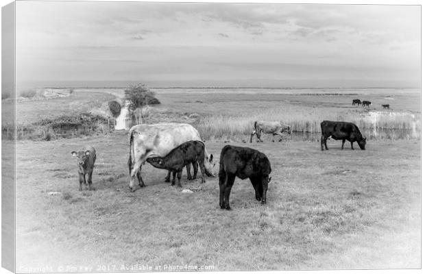 Farming in the Norfolk Marshland Canvas Print by Jim Key