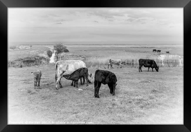 Farming in the Norfolk Marshland Framed Print by Jim Key