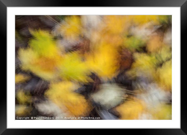 Autumnal colours Framed Mounted Print by Paul Chambers