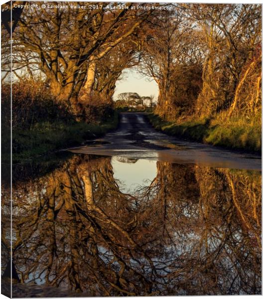 autumn reflections in the country side Canvas Print by carolann walker