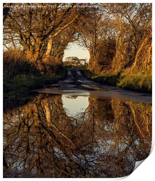 autumn reflections in the country side Print by carolann walker