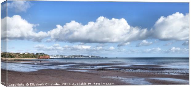 Torbay, from Goodrington to Torquay Canvas Print by Elizabeth Chisholm