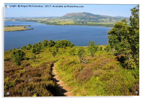 Footpath leading to viewpoint on Benarty Hill Acrylic by Angus McComiskey