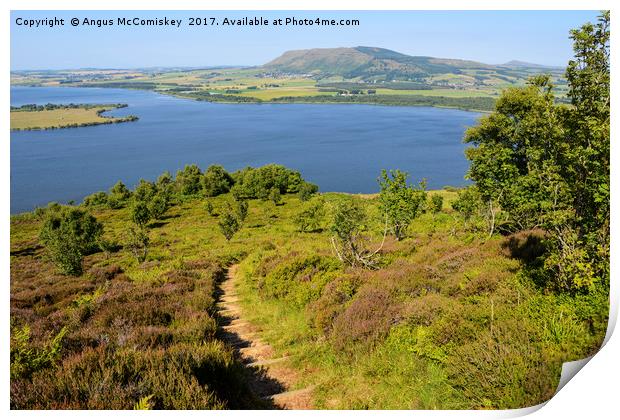 Footpath leading to viewpoint on Benarty Hill Print by Angus McComiskey