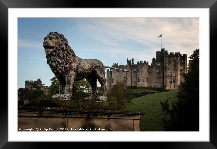 Lion at Alnwick Castle in Northumberland Framed Mounted Print by Philip Pound