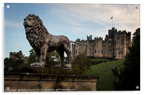 Lion at Alnwick Castle in Northumberland Acrylic by Philip Pound