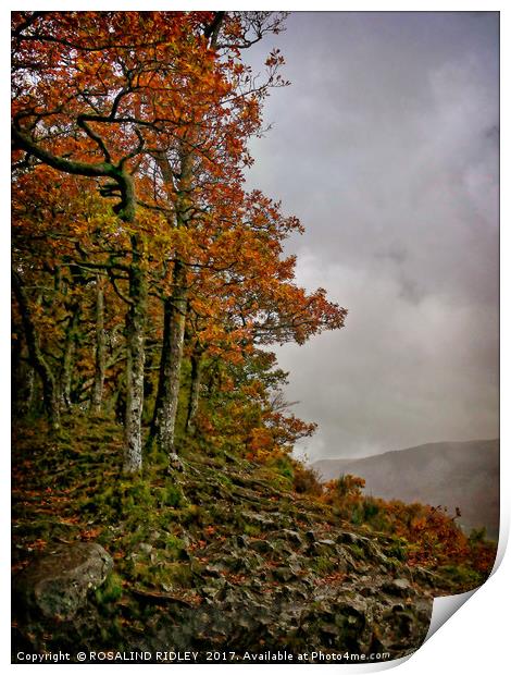 "Autumn on the misty mountain top" Print by ROS RIDLEY