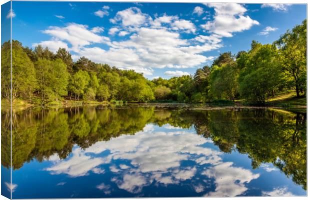 Wyndhams Reflections Canvas Print by Colin Stock