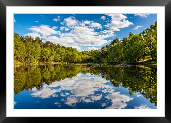 Wyndhams Reflections Framed Mounted Print by Colin Stock