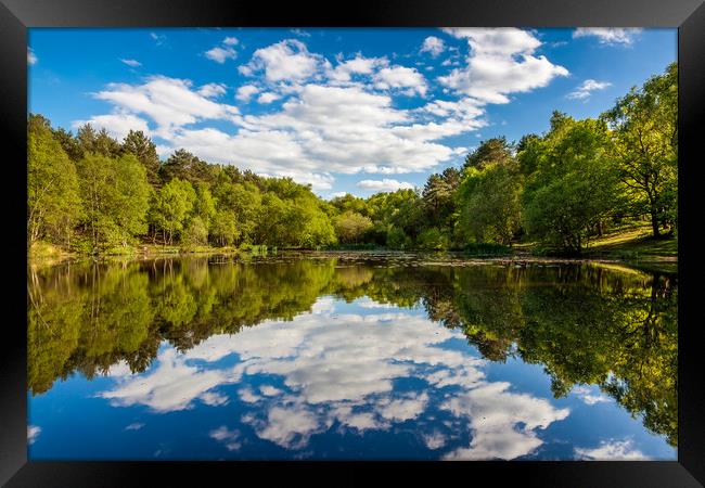 Wyndhams Reflections Framed Print by Colin Stock