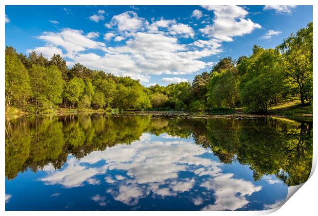 Wyndhams Reflections Print by Colin Stock